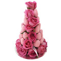 25cm Pink on Pink (Small)